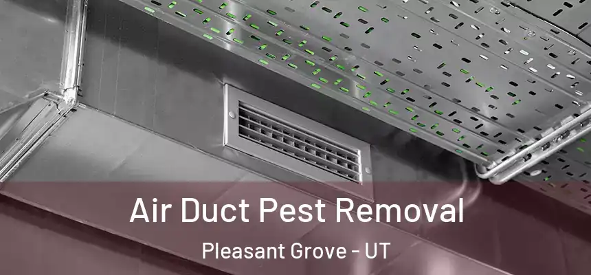  Air Duct Pest Removal Pleasant Grove - UT