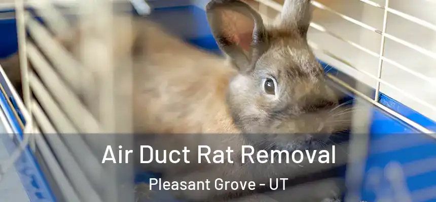  Air Duct Rat Removal Pleasant Grove - UT