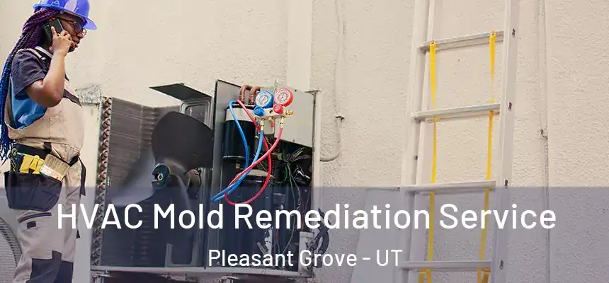  HVAC Mold Remediation Service Pleasant Grove - UT