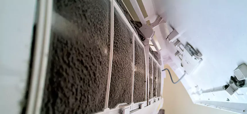 Preventive Air Duct Bacteria Removal in Pleasant Grove