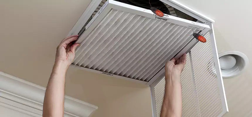 Preventive Cockroach-Proofing for Ducts in Pleasant Grove