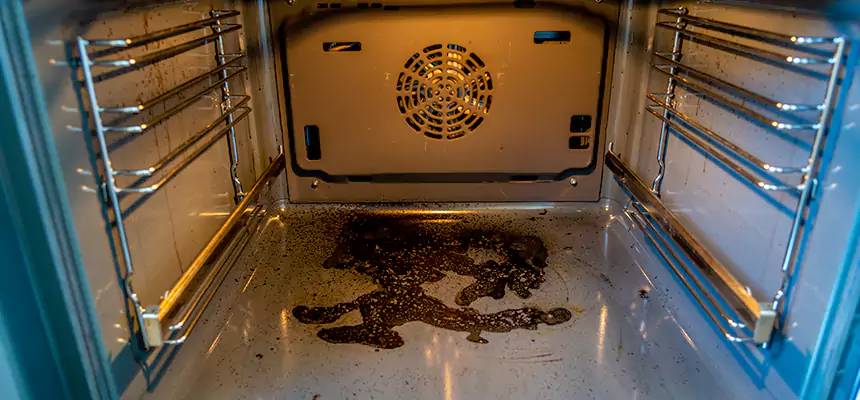 Our Dryer Vent Mold Cleaning Services in Pleasant Grove, UT