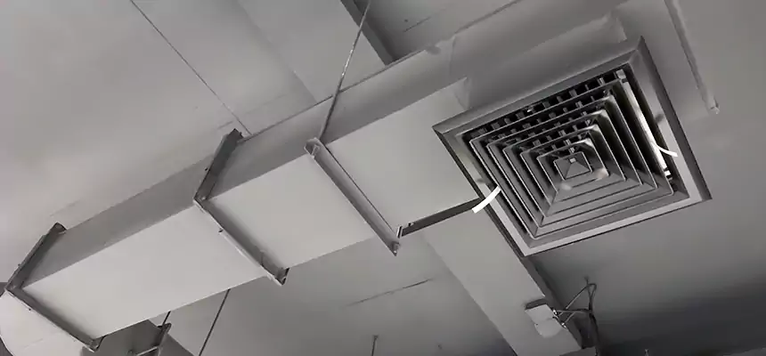 Our Pest Removal From Ducts Services in Pleasant Grove, UT