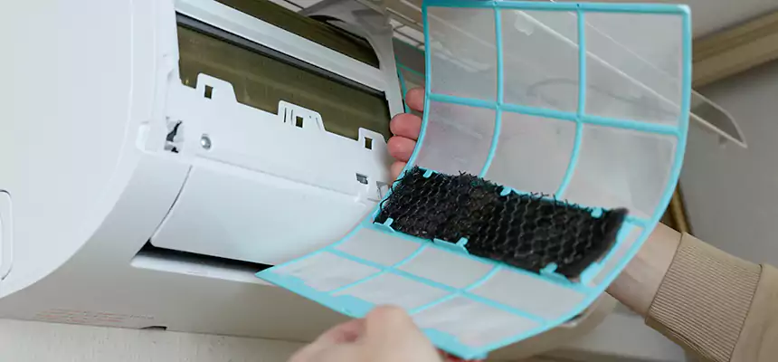 Gentle Ductwork Odor-Control Pet Dander Duct Cleaning in Pleasant Grove, UT