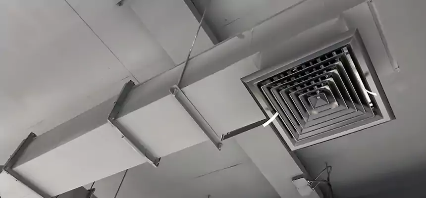 Our Rodent Droppings In Vents Services in Pleasant Grove, UT