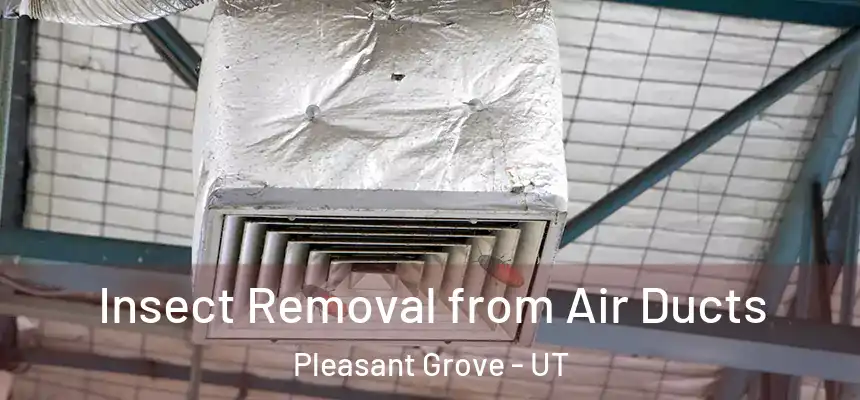  Insect Removal from Air Ducts Pleasant Grove - UT