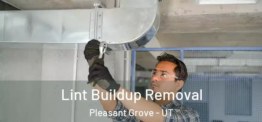  Lint Buildup Removal Pleasant Grove - UT