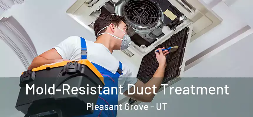  Mold-Resistant Duct Treatment Pleasant Grove - UT