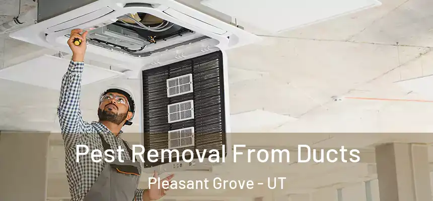  Pest Removal From Ducts Pleasant Grove - UT