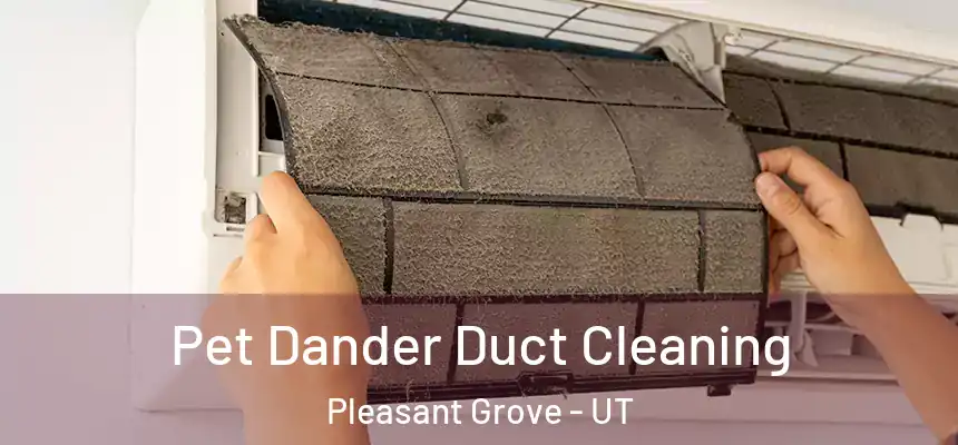  Pet Dander Duct Cleaning Pleasant Grove - UT