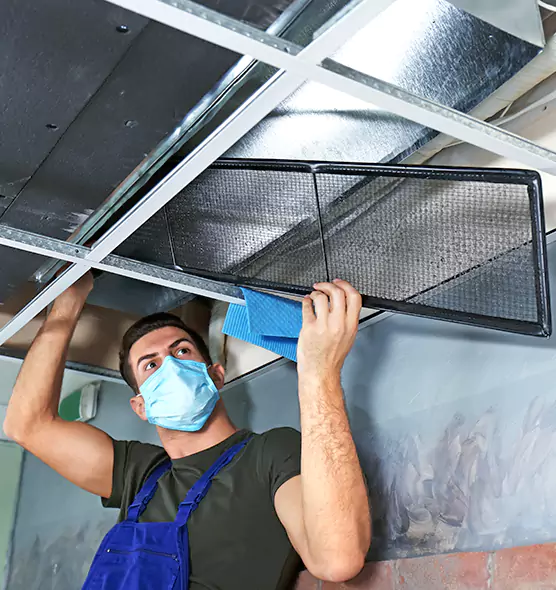 About Air Duct Bacteria Removal in Pleasant Grove