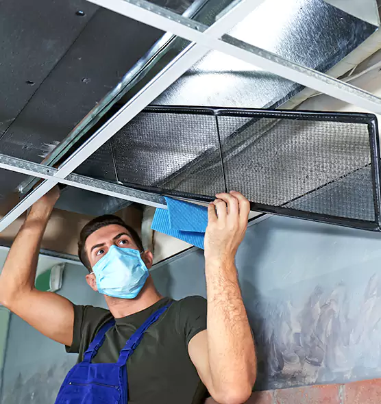 Professional Air Duct Pollen Cleaning in Pleasant Grove, UT