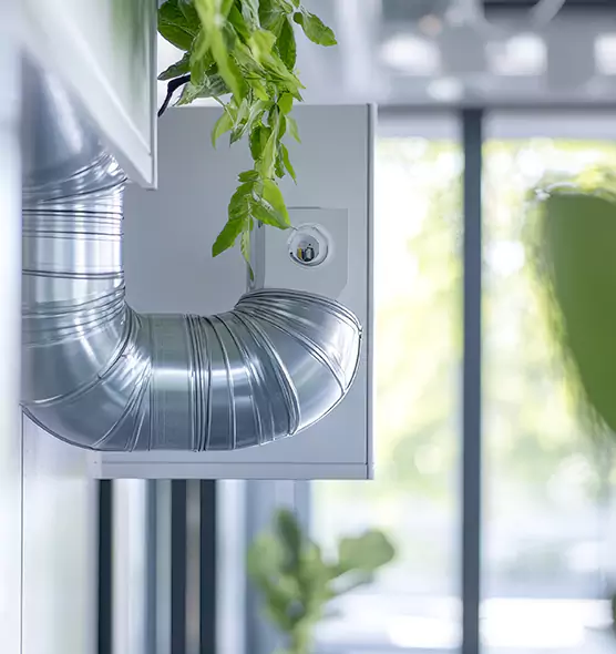 Professional Eco-Safe Dryer Vent Cleaning in Pleasant Grove, UT