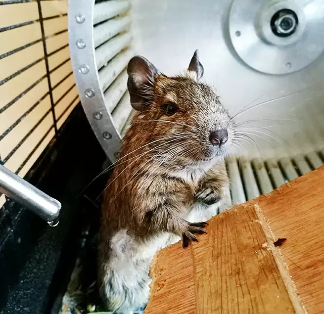 Why Homeowners & Businesses Trust Us Pleasant Grove, UT